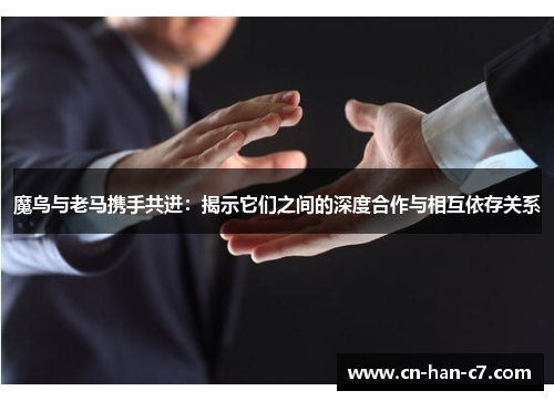 魔鸟与老马携手共进：揭示它们之间的深度合作与相互依存关系