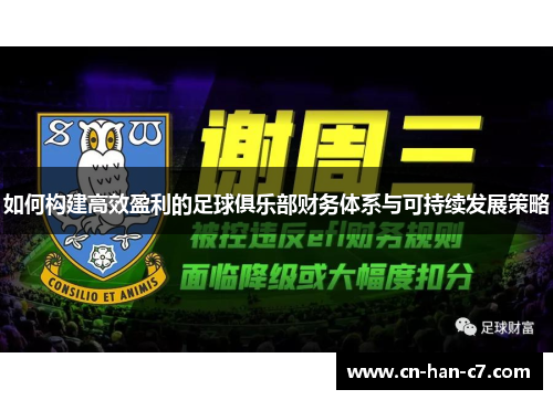 如何构建高效盈利的足球俱乐部财务体系与可持续发展策略