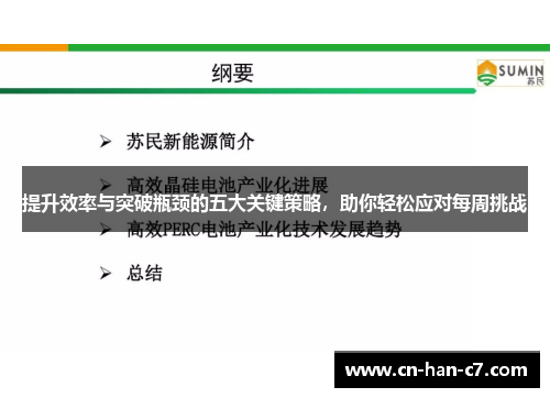 提升效率与突破瓶颈的五大关键策略，助你轻松应对每周挑战