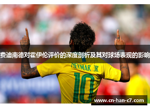 费迪南德对霍伊伦评价的深度剖析及其对球场表现的影响